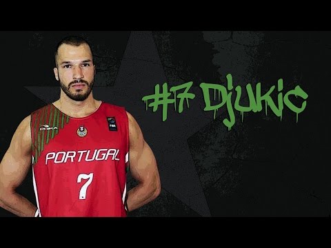 IBC GoPRO - Stefan Djukic (PF 202cm) - Highlights (2015-16)