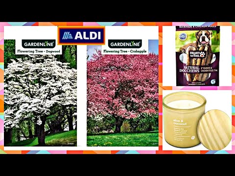 ALDI * AD PREVIEW 3/5/2023 - 3/11/2023