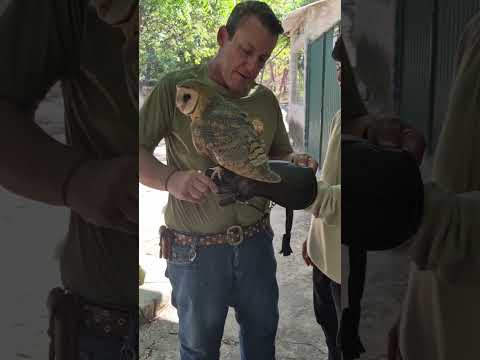Zoológico de Juazeiro do Norte  recebe turistas da Bolívia e Pernambuco