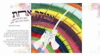 אגודה אחת – אבי הס (היוצר אבי הס) - התמונה מוצגת ישירות מתוך אתר האינטרנט יוטיוב. זכויות היוצרים בתמונה שייכות ליוצרה. קישור קרדיט למקור התוכן נמצא בתוך דף הסרטון