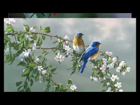 .Amor quero sossego todos os dias :)