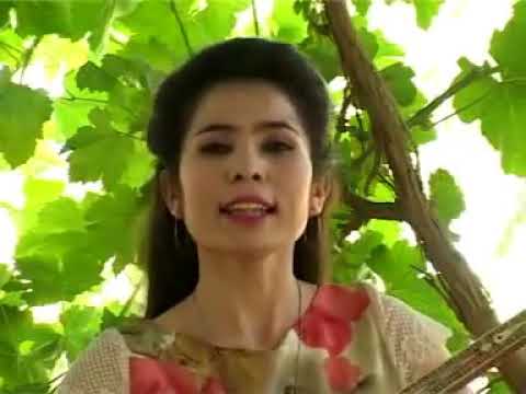 Sanubar Tursun: Hiting Kaldi Uzung Kalmiding سەنۇبەر تۇرسۇن: خېتىڭ كەلدى ئۆزۈڭ كەلمىدىڭ