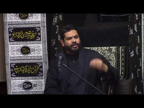 Moulana Habib Haider - Arbaeen 1439 Majlis at Astaana-e-Zehra