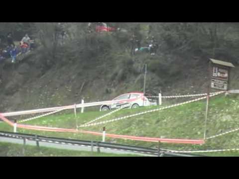 ERC-CIR 34° Rally 1000 Miglia 2010