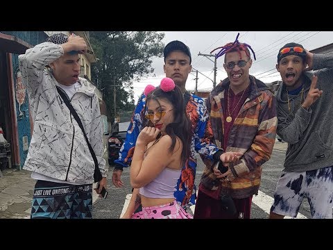 O RETORNO DA PIPOKINHA