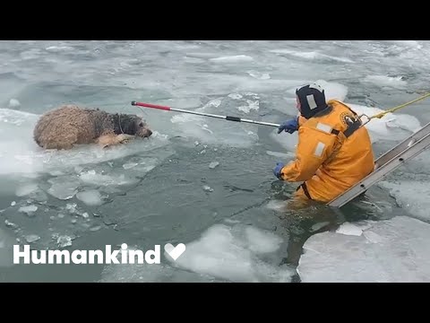 Watch these every day heroes save lives Humankind