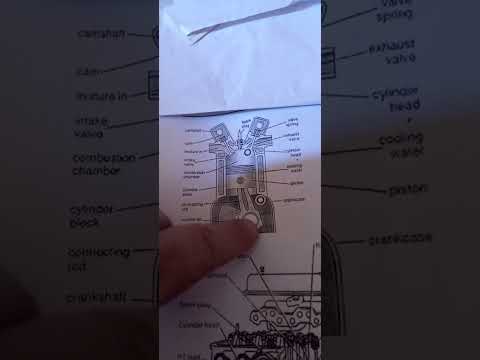 Uncle Rodney Comes.............