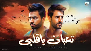 كلمات اغنية تعبان يا قلبي رضا ميزو