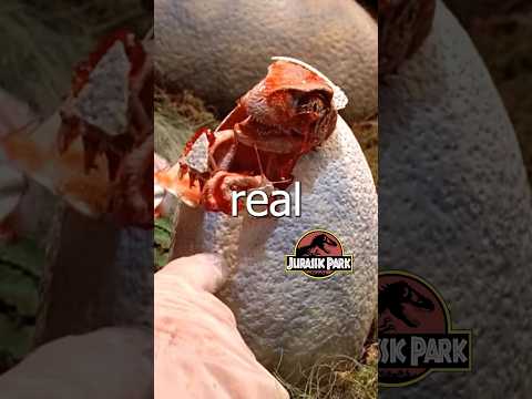 Real Jurassic Park? #dailynews #comedy