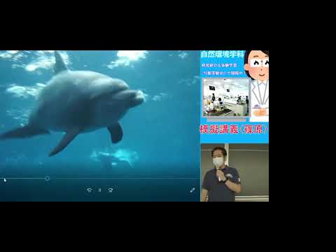 生命科学科 イルカ・クジラを通して環境問題を整理してみよう（自然環境学科　模擬講義20210718篠原先生）