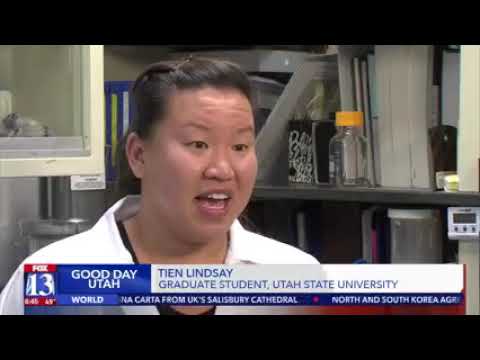 Graduate Students Study Bumble Bee Hibernation