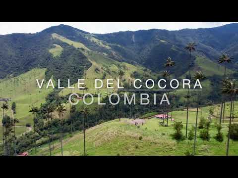 Flying Over Cocora Valley, Colombia | 4K Drone Footage