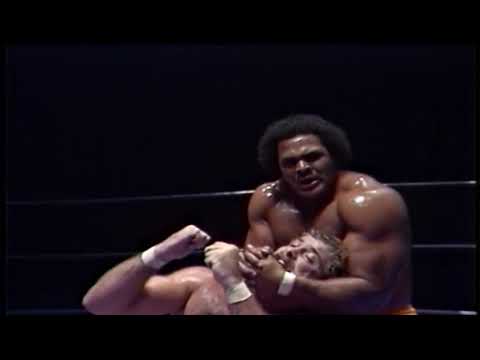 1984 08 31 Magnum T A  vs  Butch Reed