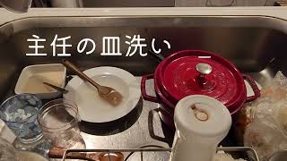 皿洗い　#002　保護犬との暮らし