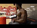 How To Reduce LOWER CHEST Fat (4 Must Do Exercises!)