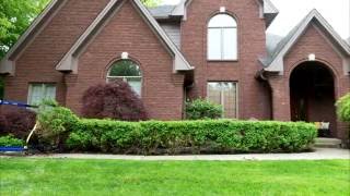 Boxwood hedge bush removal, easily remove your overgrown landscaping.