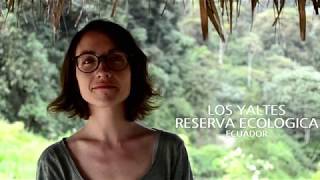 The Claire's journey in Los Yaltes, La estadía de Claire en Los Yaltes, le séjour de Claire à Lo