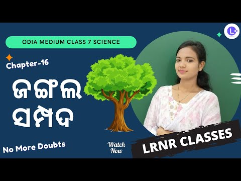 Jangala Sampada Class 7 Science Chapter 16 | ଜଙ୍ଗଲ ସମ୍ପଦ