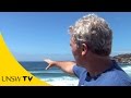 How to survive beach rip currents 
