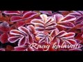 Film Songs Based On Raag Kalavati