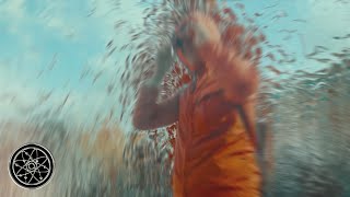 Cover art for HUNDE FREESTYLE