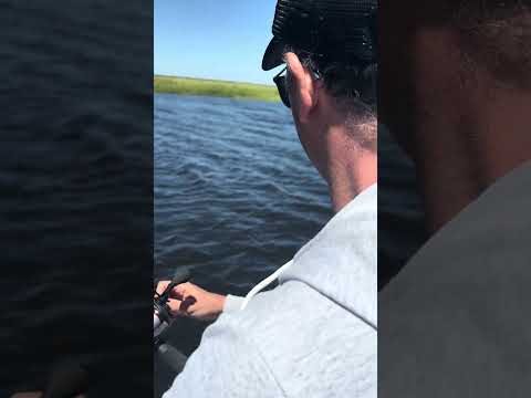 Pesca dorados en Puerto Gaboto