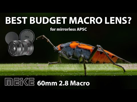 Video thumbnail for Meike 60 mm f/2.8 Macro review 2