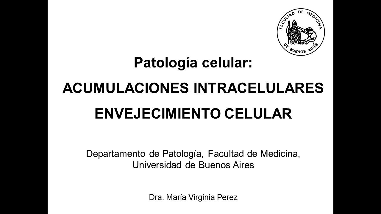 Clase 3: Acumulaciones intracelulares y envejecimiento celular (Dra. Virginia Perez)