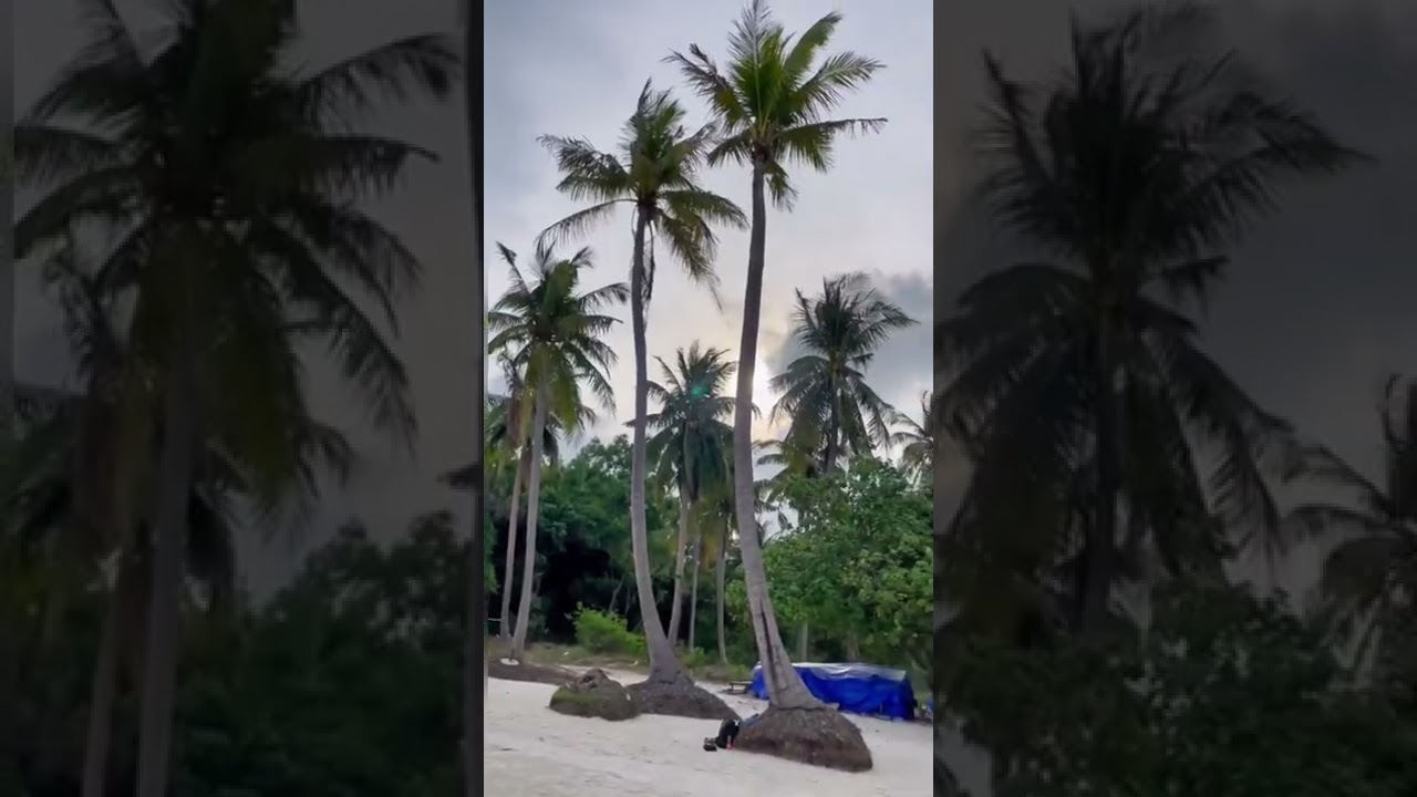 YouTube Short thumbnail