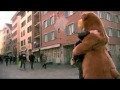 Обнимашки.flv 