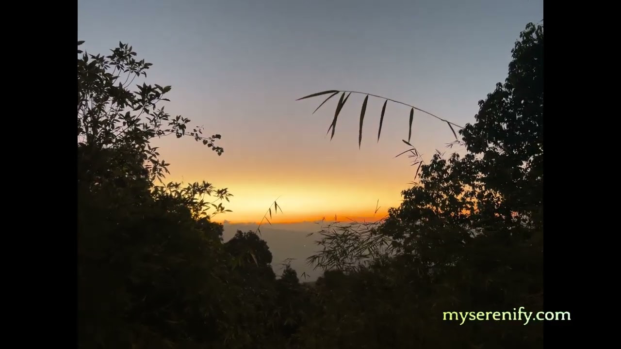 Guided Meditation Free Download: Access Tranquility Anywhere