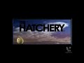 American Greetings Sabella Dern Entertainment The Hatchery 2007