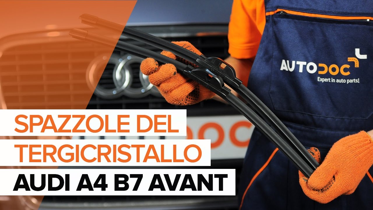Come cambiare spazzole tergicristallo della parte anteriore su Audi A4 B7 Avant - Guida alla sostituzione