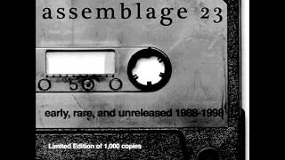Assemblage 23 Sometimes I Wish I Was Dead