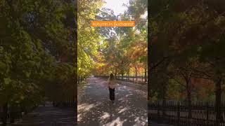 Autumn in Bucharest, Romania #travel #travelvlogger #fall