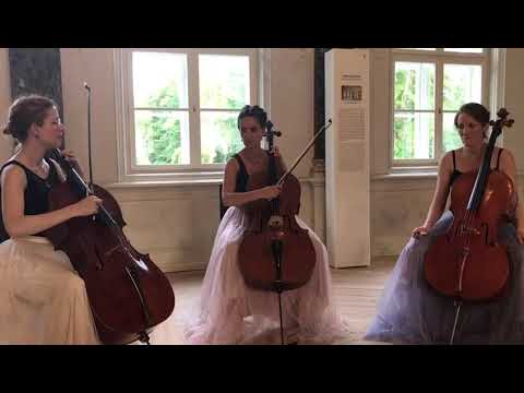 Schlosskonzert Mirow