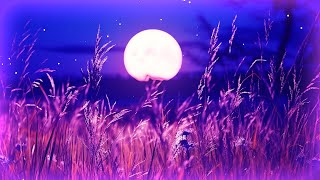 8 Hours of Deepest Sleeping Music with Sounds of Nature - BEAT INSOMNIA FAST | Peaceful Sleep Music