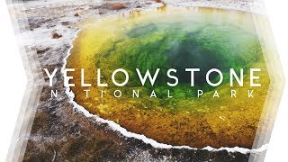 YELLOWSTONE NP  |  The beating heart of the United States