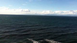 Thrice - Silver Wings