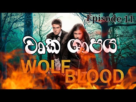 Wurka Shapaya| wolf blood |Season 1| Episode 11| TV Derana 