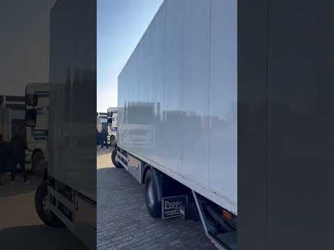 DAF LF 55.250 video miniatur