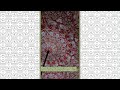 Видеообзор Женский зонт-трость Fulton L856 Morris & Co. Bloomsbury Strawberry Thief Indian Red