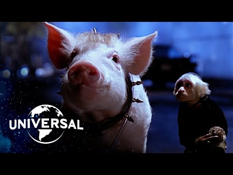 Babe: Pig In The City | Babe Escapes