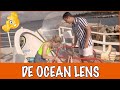 Curaçao #8 - Hoe plant koraal zich voort? | DierenpraatTV