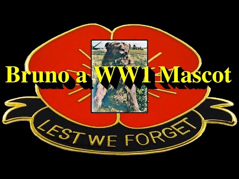 Bruno the WW1 CEF Mascot