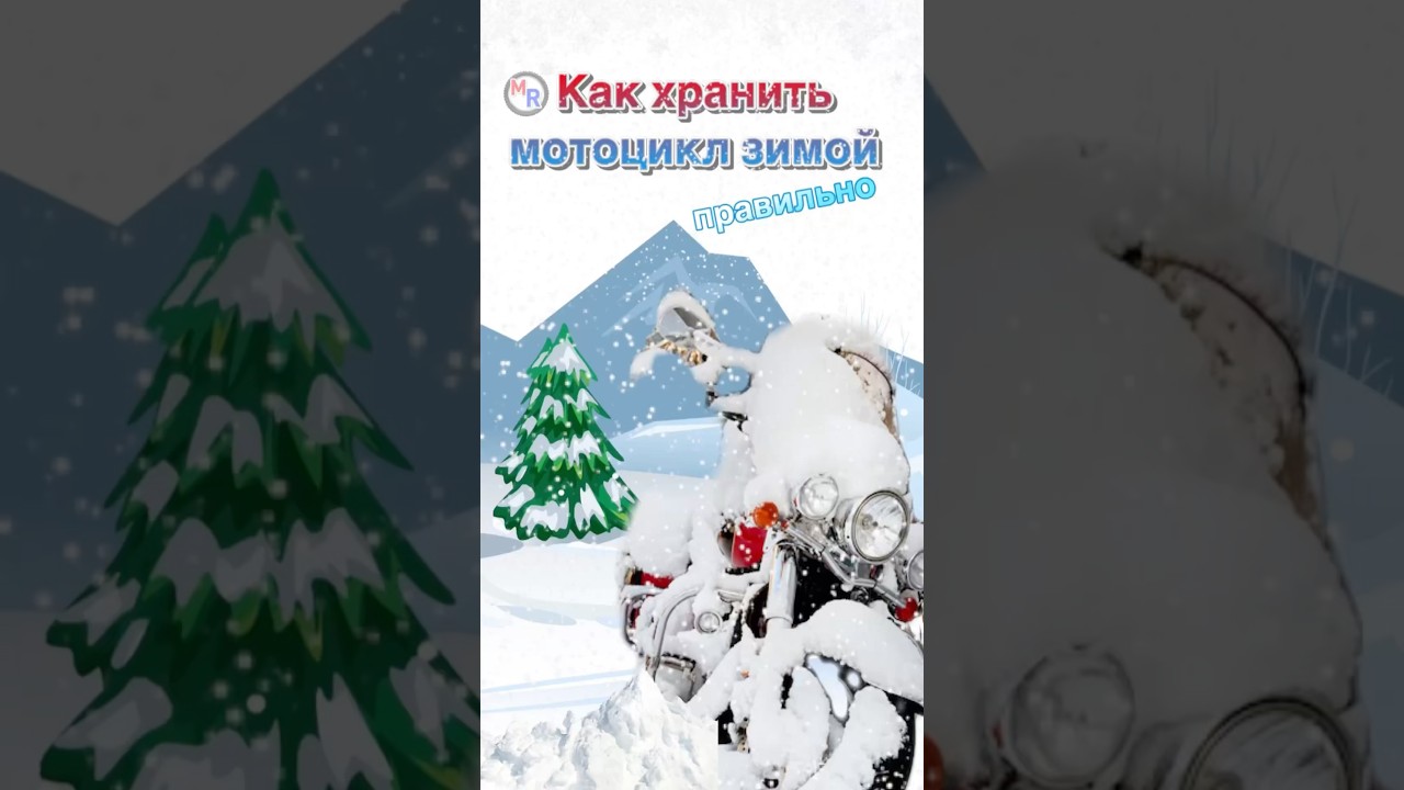 Как хранить мотоцикл зимой правильно #мотоцикл #мото #мопед #скутер #motorussus #зима