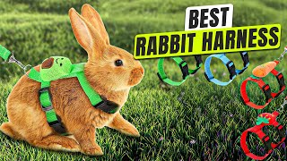3 BEST Rabbit Harness - Your Bunny Deserves a Walk!