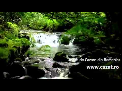 Cazare Lipoveni, Suceava - Cazat.ro