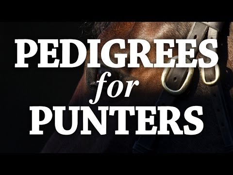 Pedigrees For Punters: Investec Derby