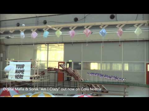 Digital Mafia & Sonik - Am I Crazy